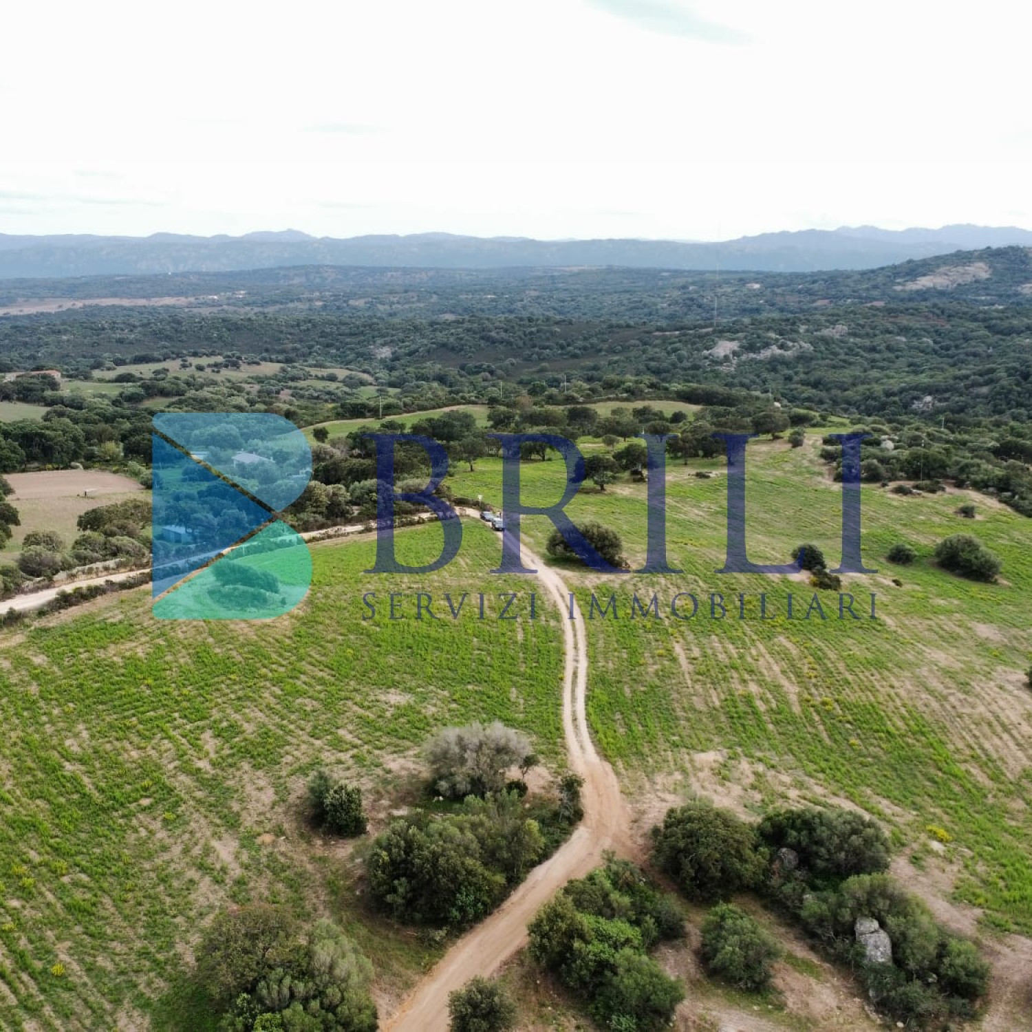 Terreno agricolo a Telti