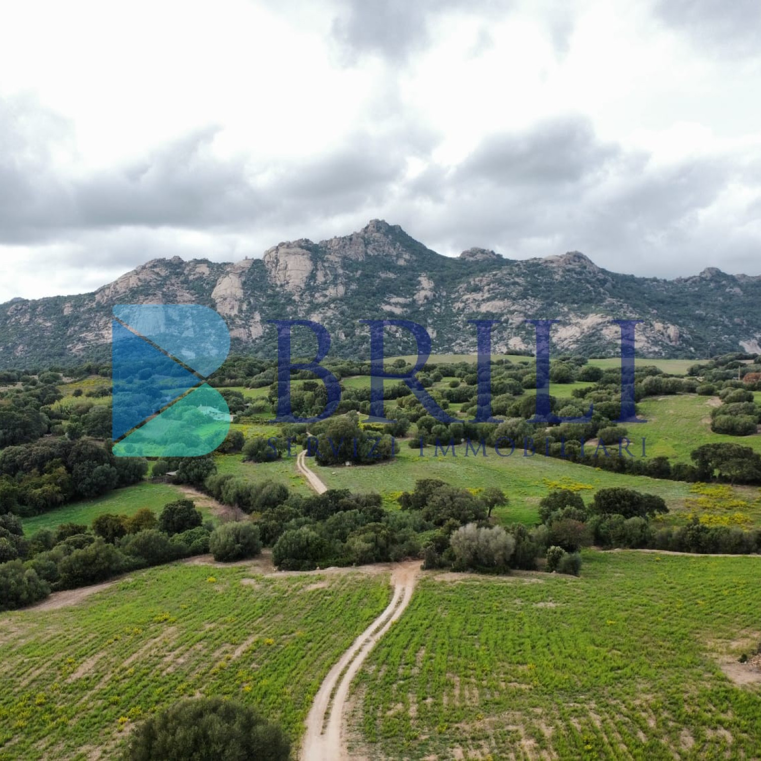 Terreno agricolo a Telti