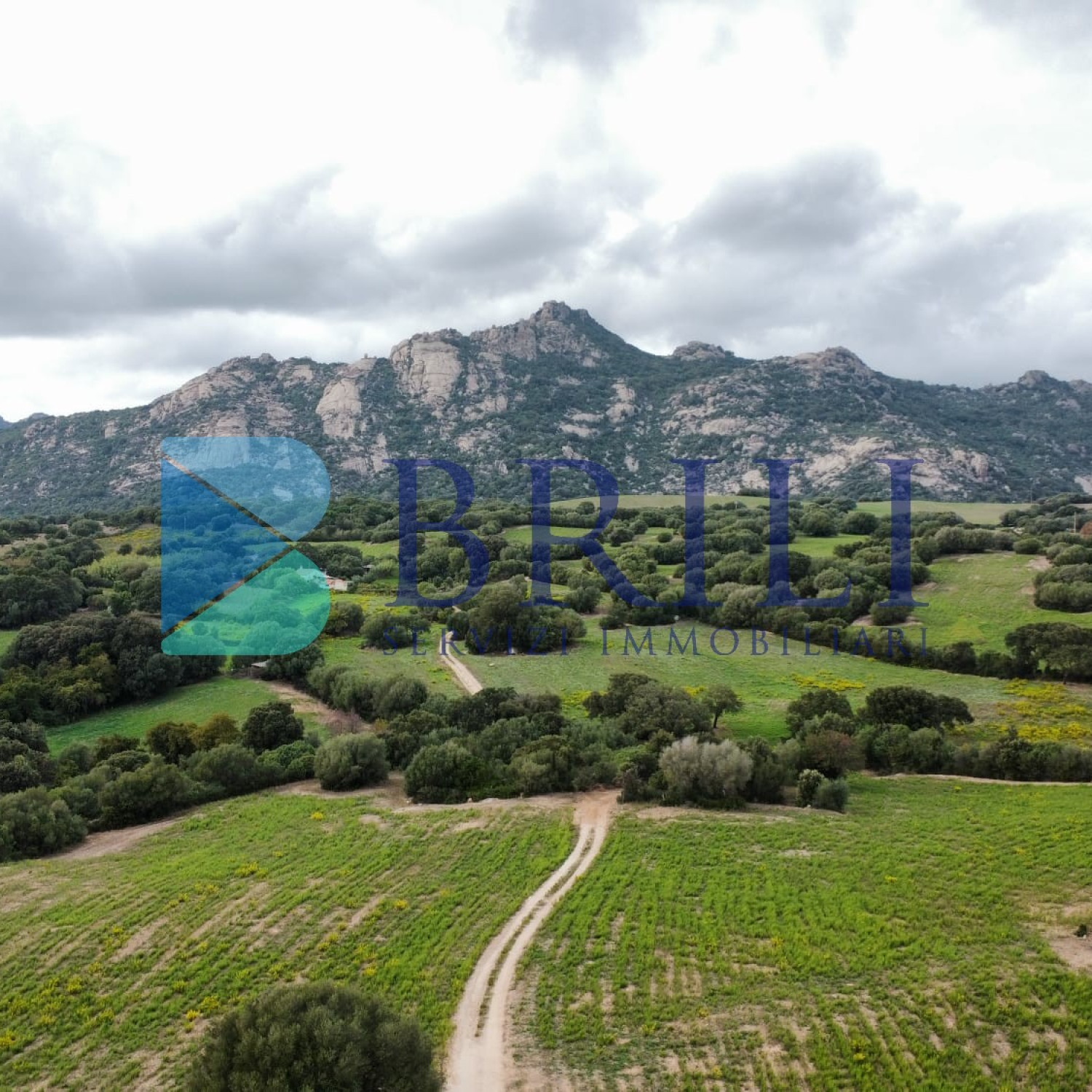 Terreno agricolo a Telti