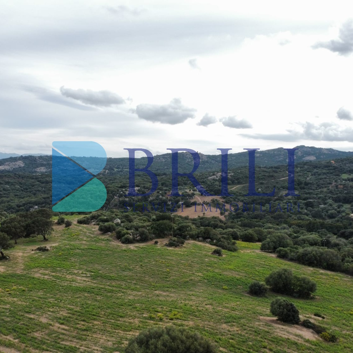 Terreno agricolo a Telti