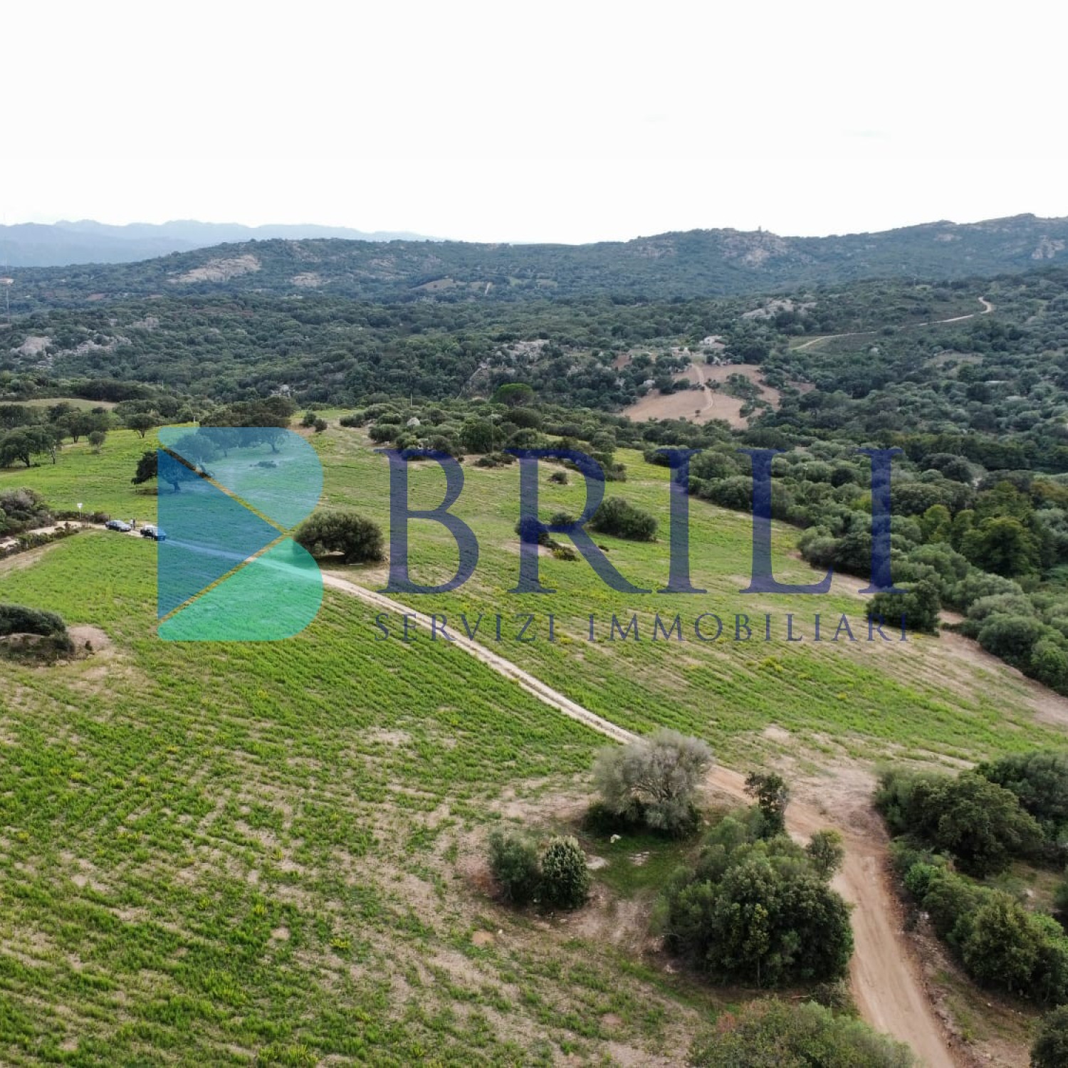 Terreno agricolo a Telti