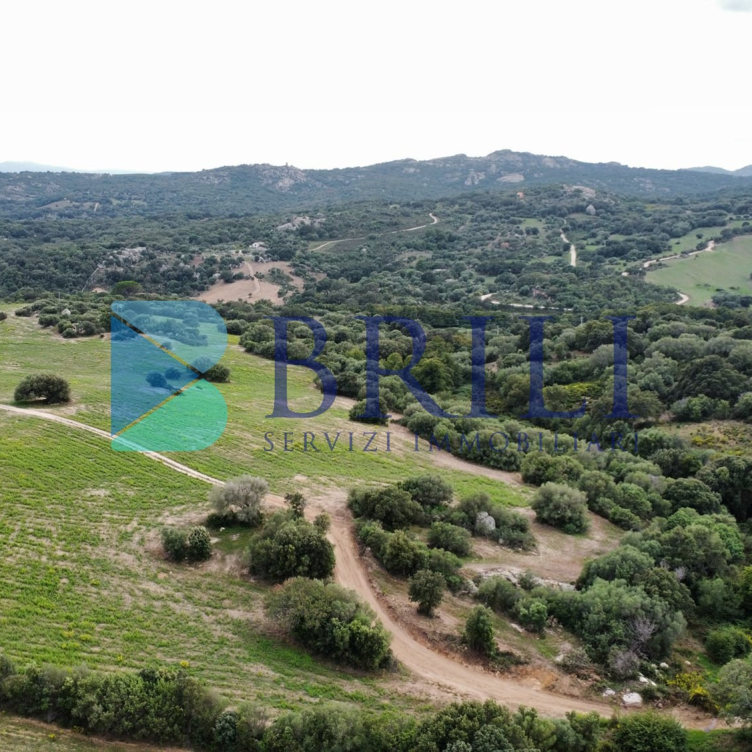 Terreno agricolo a Telti