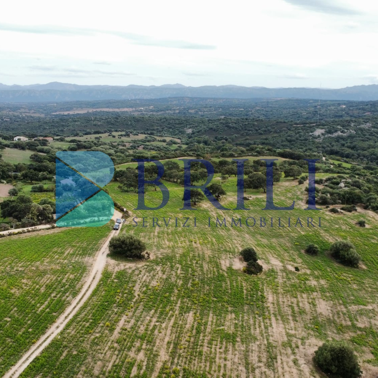 Terreno agricolo a Telti