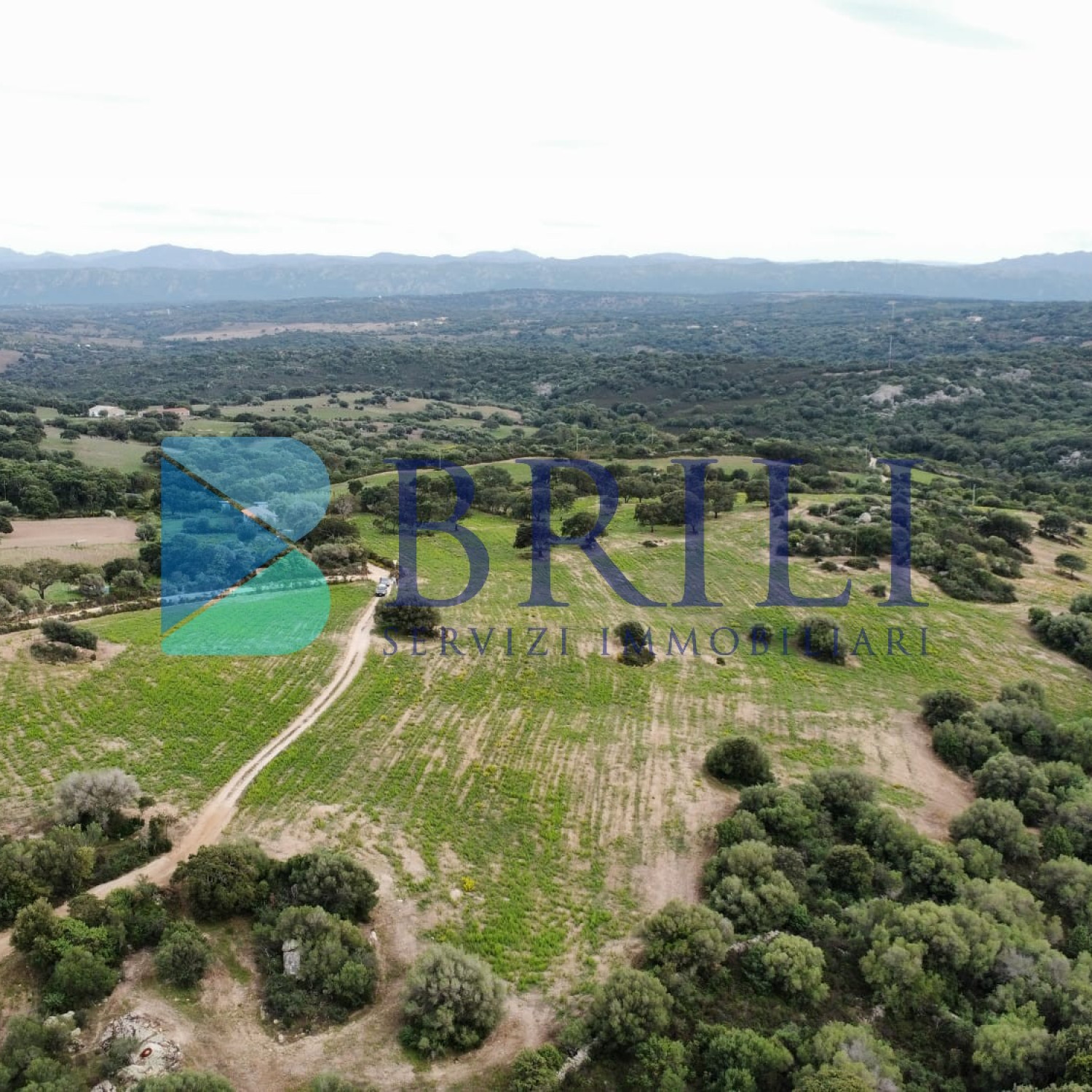 Terreno agricolo a Telti