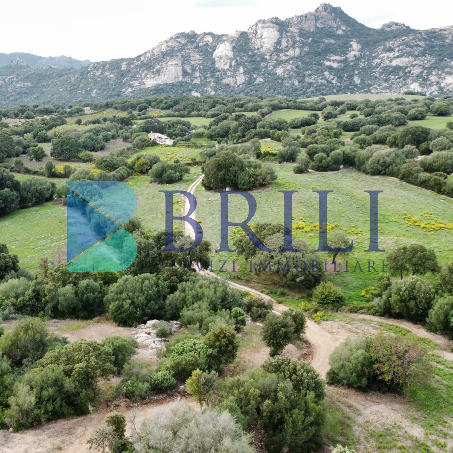 Terreno agricolo a Telti