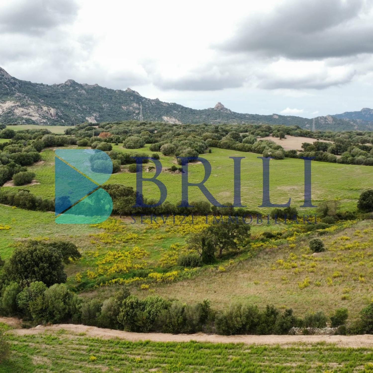 Terreno agricolo a Telti