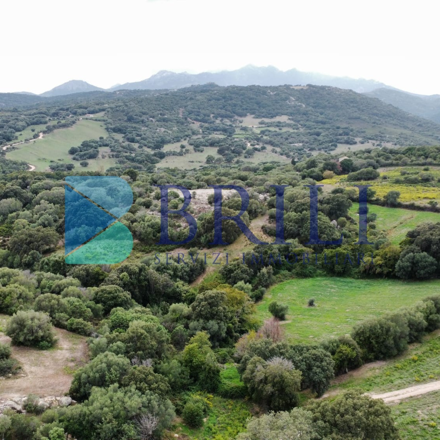 Terreno agricolo a Telti