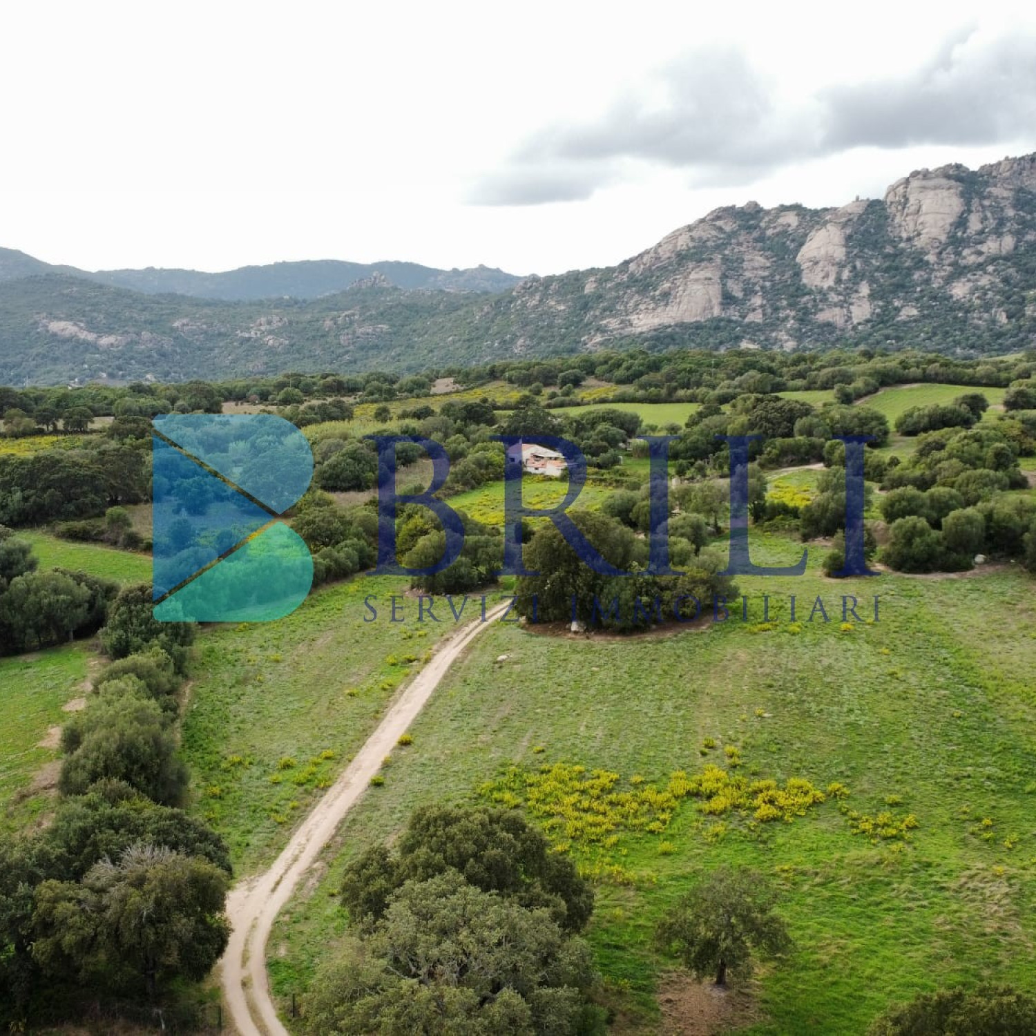 Terreno agricolo a Telti