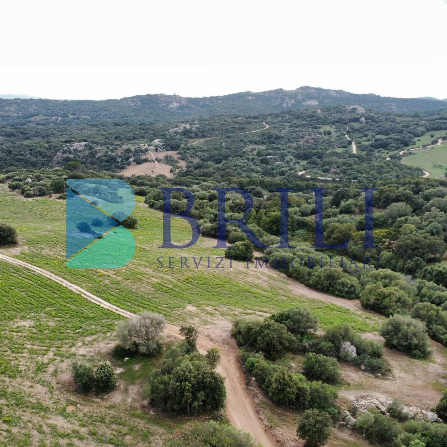 Terreno agricolo a Telti